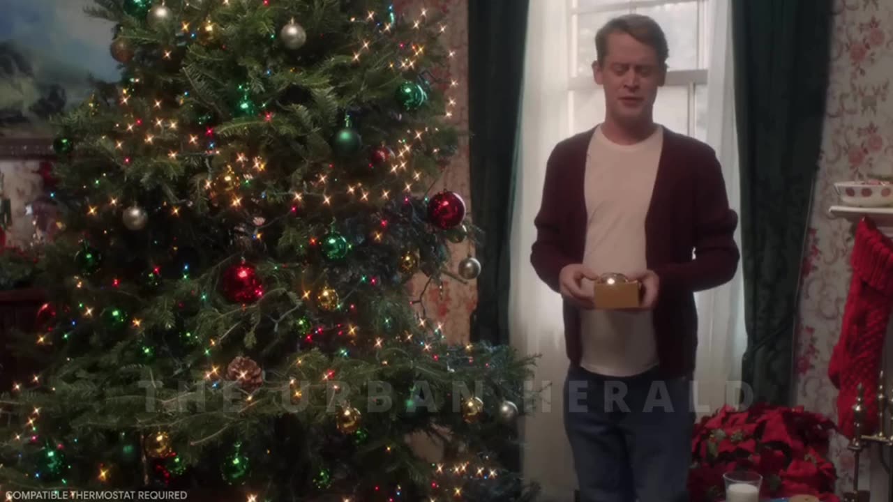 The Home Alone remake nobody expected