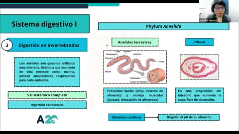 AULA 20 REGULAR 2025 - 1 | Semana 07 | Anatomía