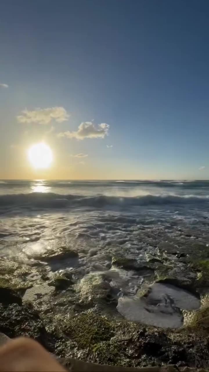 2 (HD Fixed) MOON WOLF PT2 RENEWED HERO : DONT GIVE UP YOUR COCONUTS by Plott