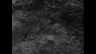 1950s Sci-Fi Gem: The Incredible Petrified World Highlights