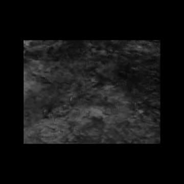 1950s Sci-Fi Gem: The Incredible Petrified World Highlights