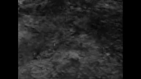 1950s Sci-Fi Gem: The Incredible Petrified World Highlights