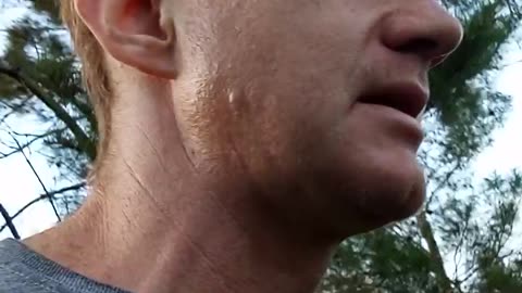 Why The Muslim Protests And Attacks