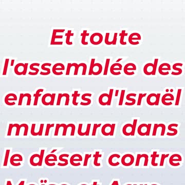 « Les murmures du peuple dans le désert » Exode 16:2. #shortvideo #shorts #youtubeshorts #ytshorts