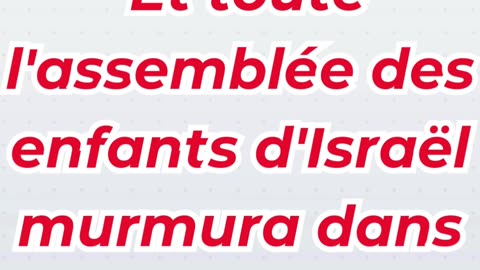 « Les murmures du peuple dans le désert » Exode 16:2. #shortvideo #shorts #youtubeshorts #ytshorts