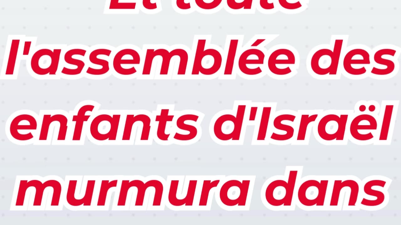 « Les murmures du peuple dans le désert » Exode 16:2. #shortvideo #shorts #youtubeshorts #ytshorts