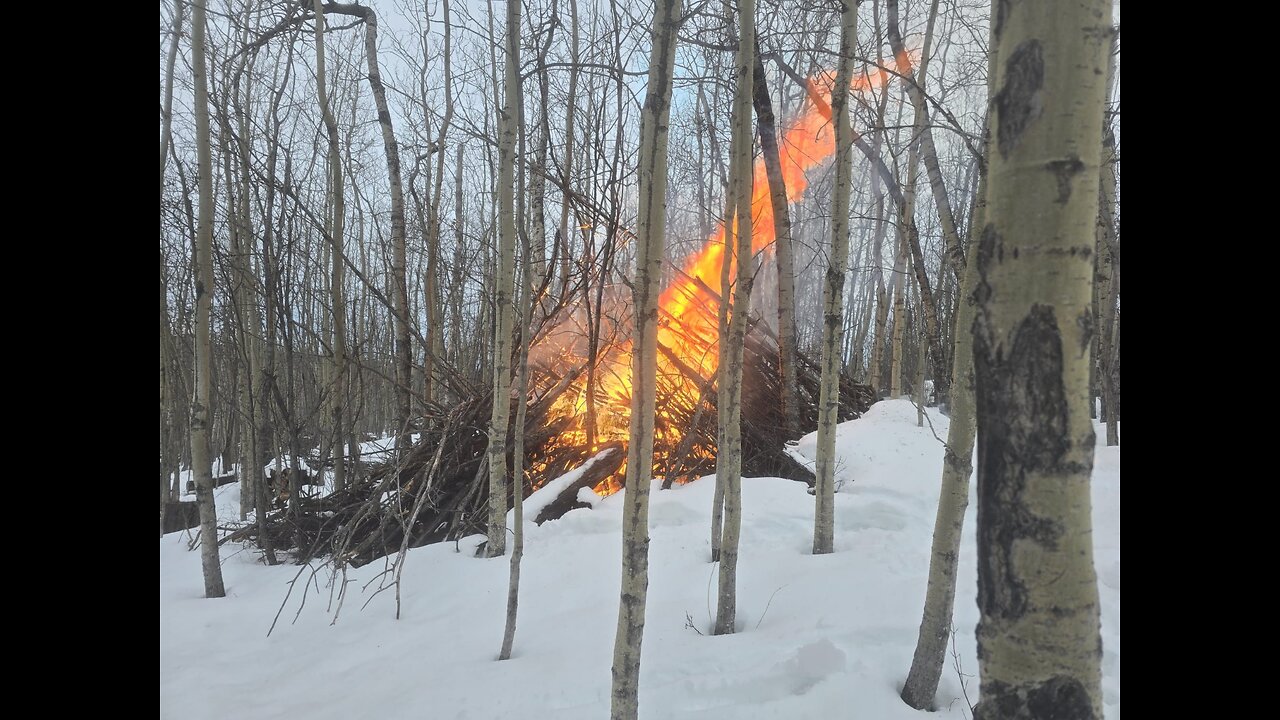 🔥 Winter Brush Burn 🔥#WinterBurn #BrushPile #ControlledBurn #SnowFire