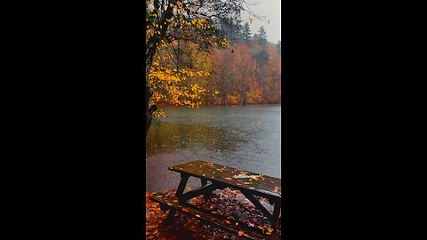 #foryoupage#viralvideo