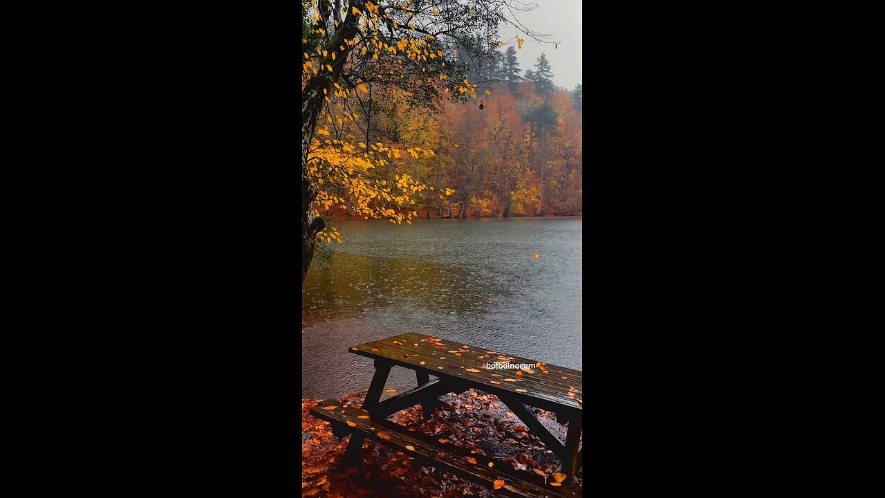 #foryoupage#viralvideo