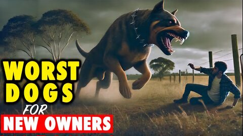 10 Most Dangerous Dog Breeds for First Time Owners