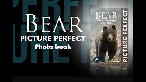 Bear - Picture Perfect Photo Book