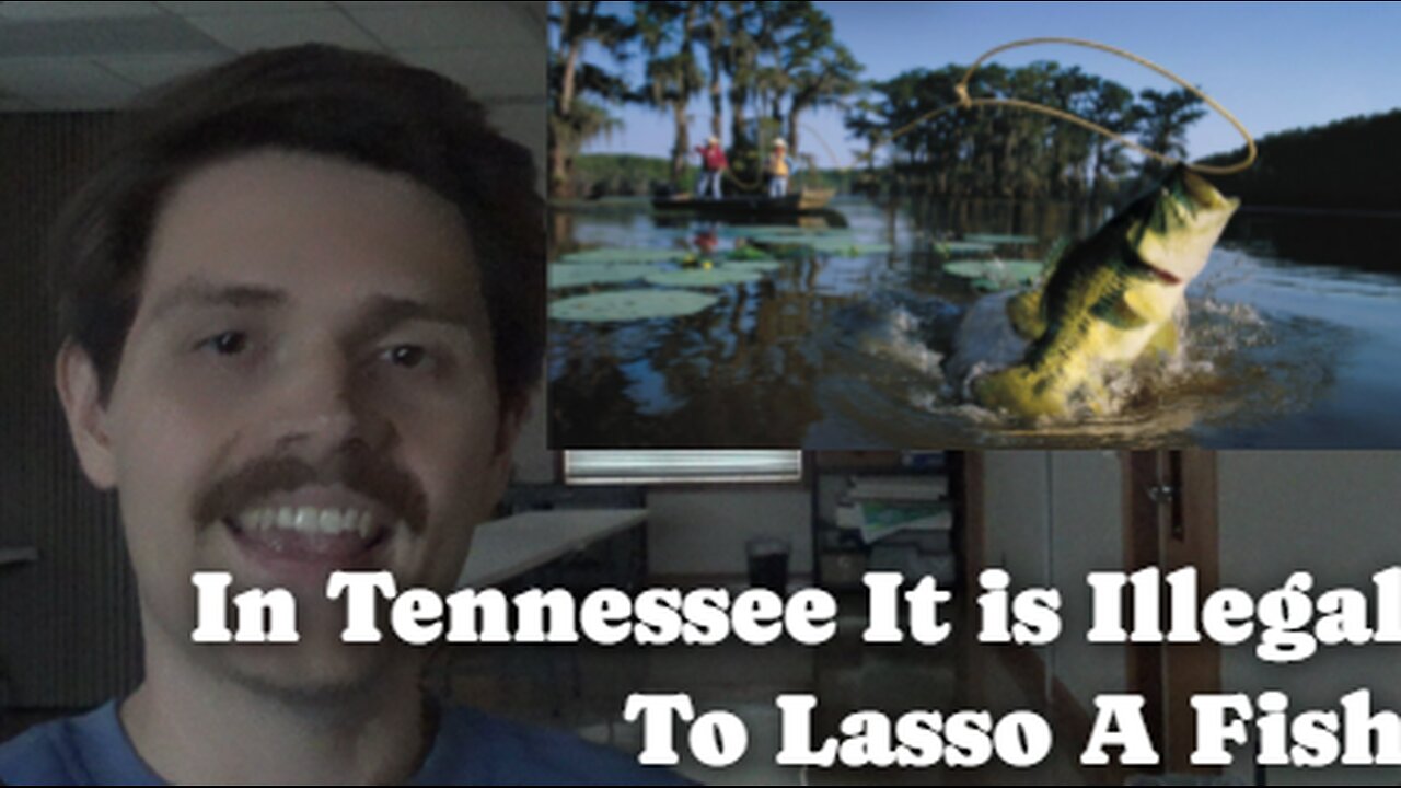 In Tennessee It is Illegal to Lasso a Fish