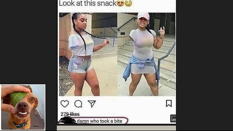 Memes That Will 99.0366% Make You Laugh. (e590)