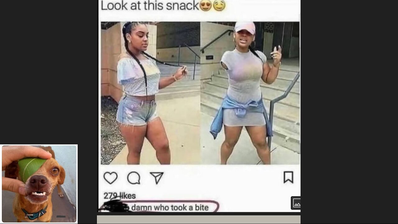 Memes That Will 99.0366% Make You Laugh. (e590)