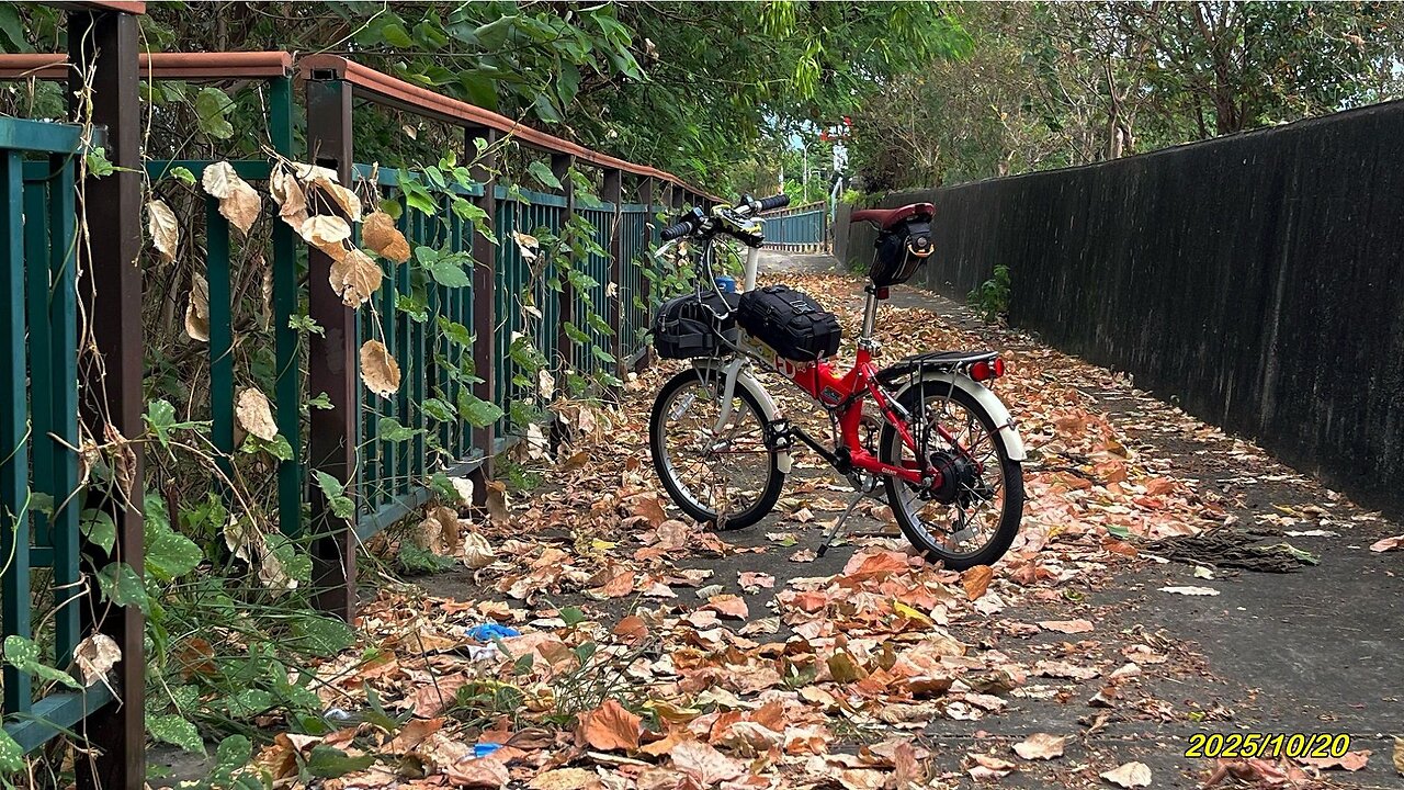 25_1020 Matrix+Cocolo7