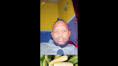 How to be successful in maize farming