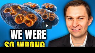 ⚡️⚡️⚡️ 4 продукта, способствующие образованию новых митохондрий. Др. Дэвид Синклер