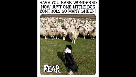 New Developments Are Causing People To Panic. Here's Why.