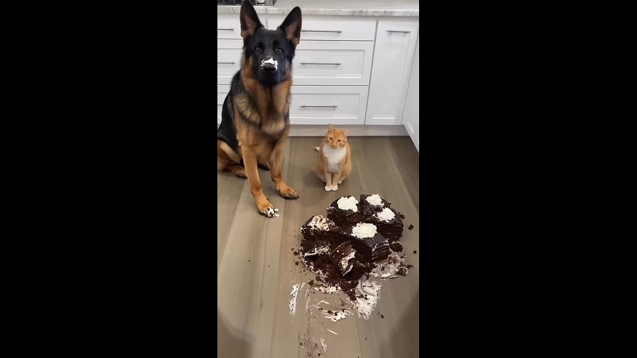 When you both look innocent… but the cake says otherwise 🍰😂