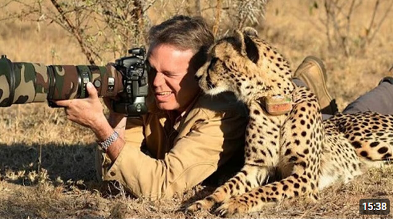 When Animals Caught Getting Friendly with Photographers 🤪 Funny Wildlife Videos 2025
