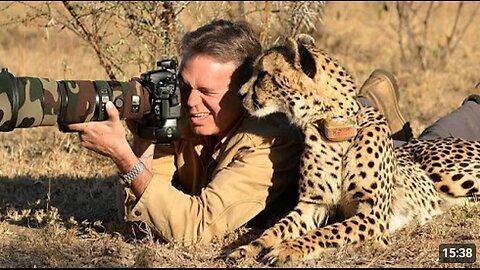 When Animals Caught Getting Friendly with Photographers 🤪 Funny Wildlife Videos 2025