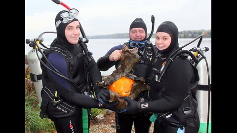 CNE - Destinations: BTI Dive Team - The UnderWater World Project, Dive Season Moments 2016