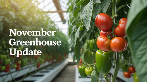 How Our Greenhouse Keeps Plants Thriving All Year