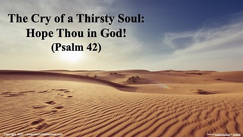 The Cry of a Thirsty Soul: Hope in God! (Psalm 42), Daily Bible study from www.HeartofAShepherd.com.