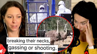 Gruesome cull manual shows feds' preferred methods after ostriches reportedly gunned down