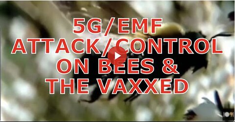 Bees and the Magnetite/Graphene-Vaxxed Are Vulnerable to 5G/EMF Attack/Control by the NWO Cabal!