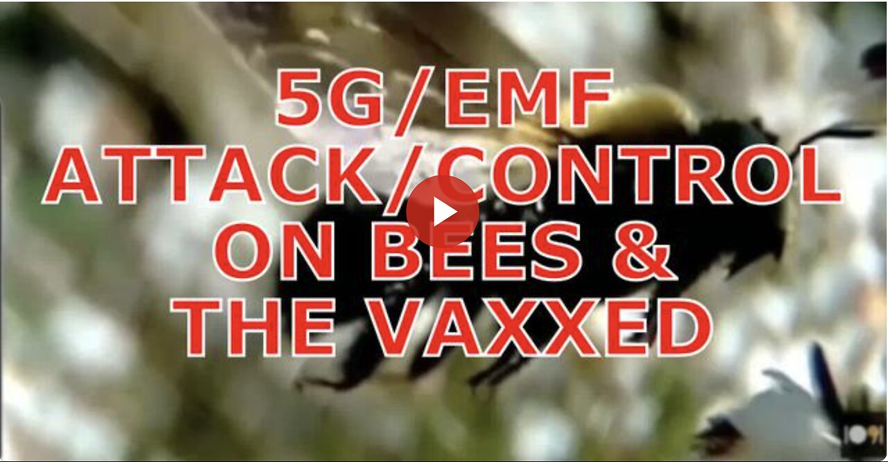 Bees and the Magnetite/Graphene-Vaxxed Are Vulnerable to 5G/EMF Attack/Control by the NWO Cabal!