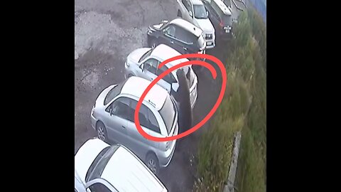Un instante salva a este hombre de un ataque de un oso