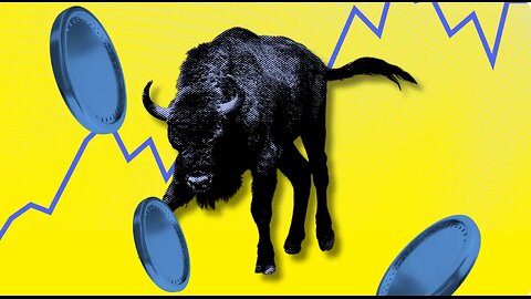 Best Cryptos to Buy Now Amid the Crypto Market Crash