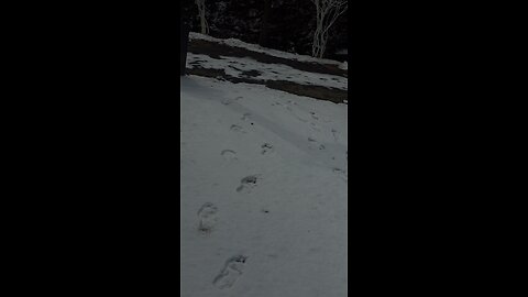 botanical garden in Korea