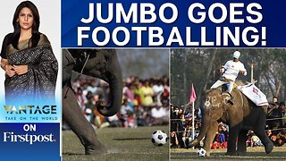 Elephants Play Football in Nepal's Annual Elephant Festival | Vantage with Palki Sharma