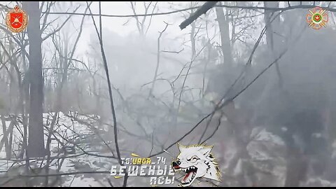 🇷🇺 🏹 🎣 Counterattacks near Novopavlivka : Rybar's Take