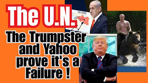 The UN does NOTHING for world peace!? How can that be?