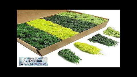 Artificial Green Plants Eternal Life Moss DIY Crafts Grass Garden Home Room Review