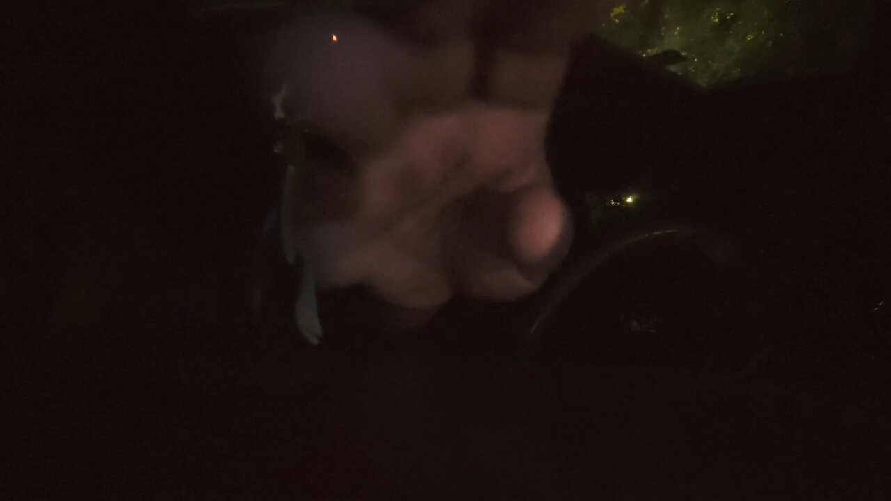 Declaration of Independence