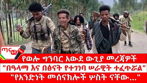 ጣና ግንባር፦ የዐርበኞች መስመር…የወሎ ግንባር አውደ ውጊያ መረጃዎች፤"በዓላማ እና በፅናት የተገነባ ሠራዊት ተፈጥሯል"