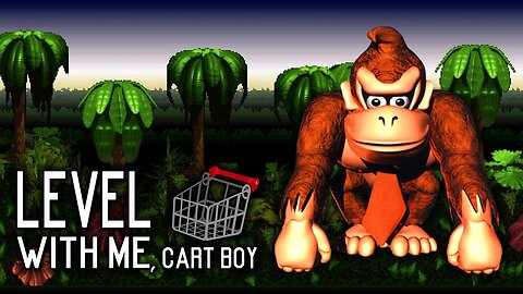 Donkey Kong Country Fun - Jungle Hijinxs