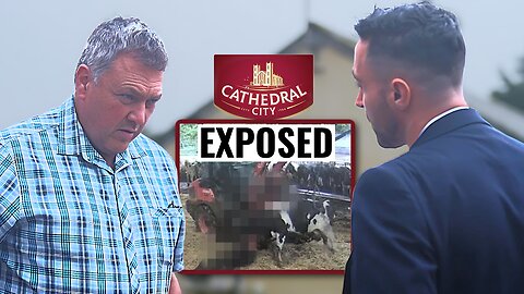 Confronting Britain’s most violent cheese bosses