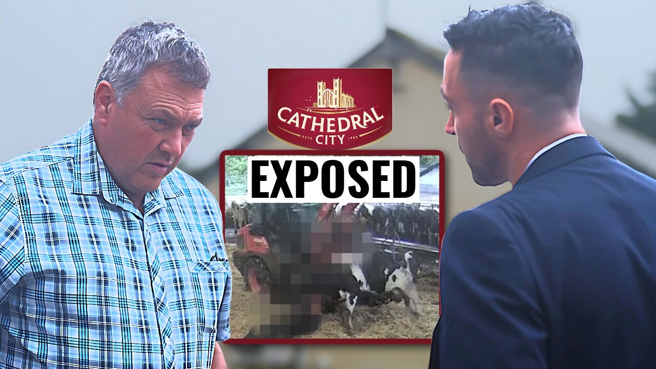 Confronting Britain’s most violent cheese bosses