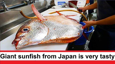 Giant sunfish from Japan is very tasty
