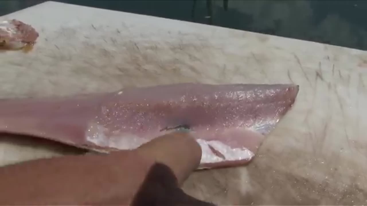 How to Fillet Fish - Freshwater Fish Cleaning