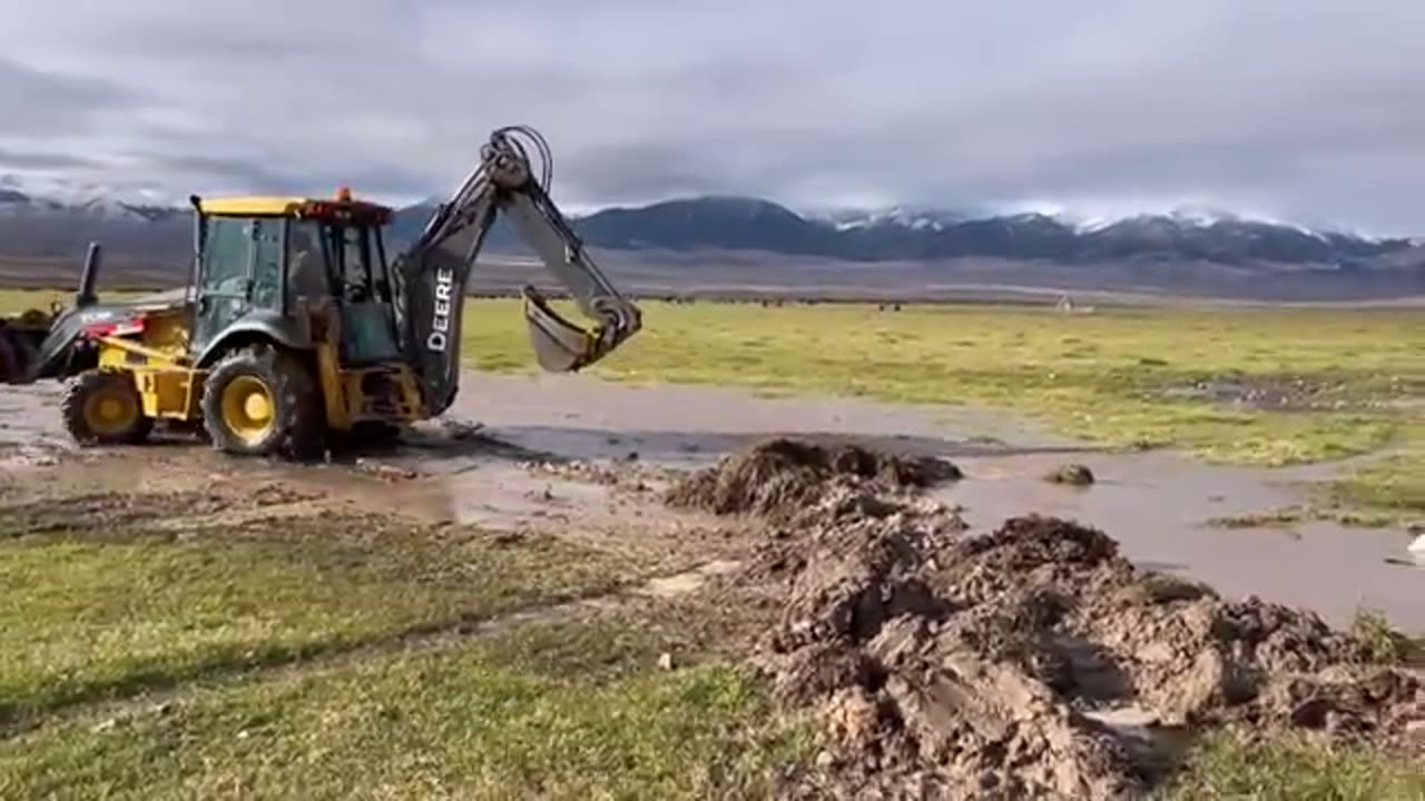 HORSE RESCUE