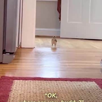 A heartwarming friendship of two tiny beings