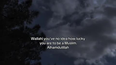 Jaza kallah ♥️✨