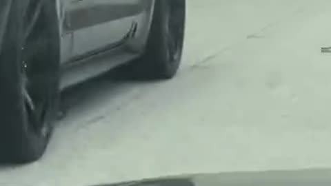 This looks less like a cruise and more like a yeehaw parade