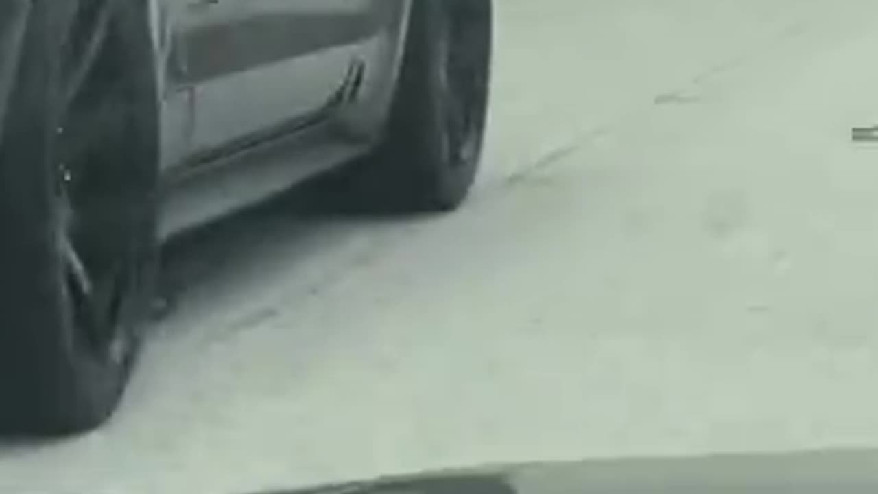 This looks less like a cruise and more like a yeehaw parade